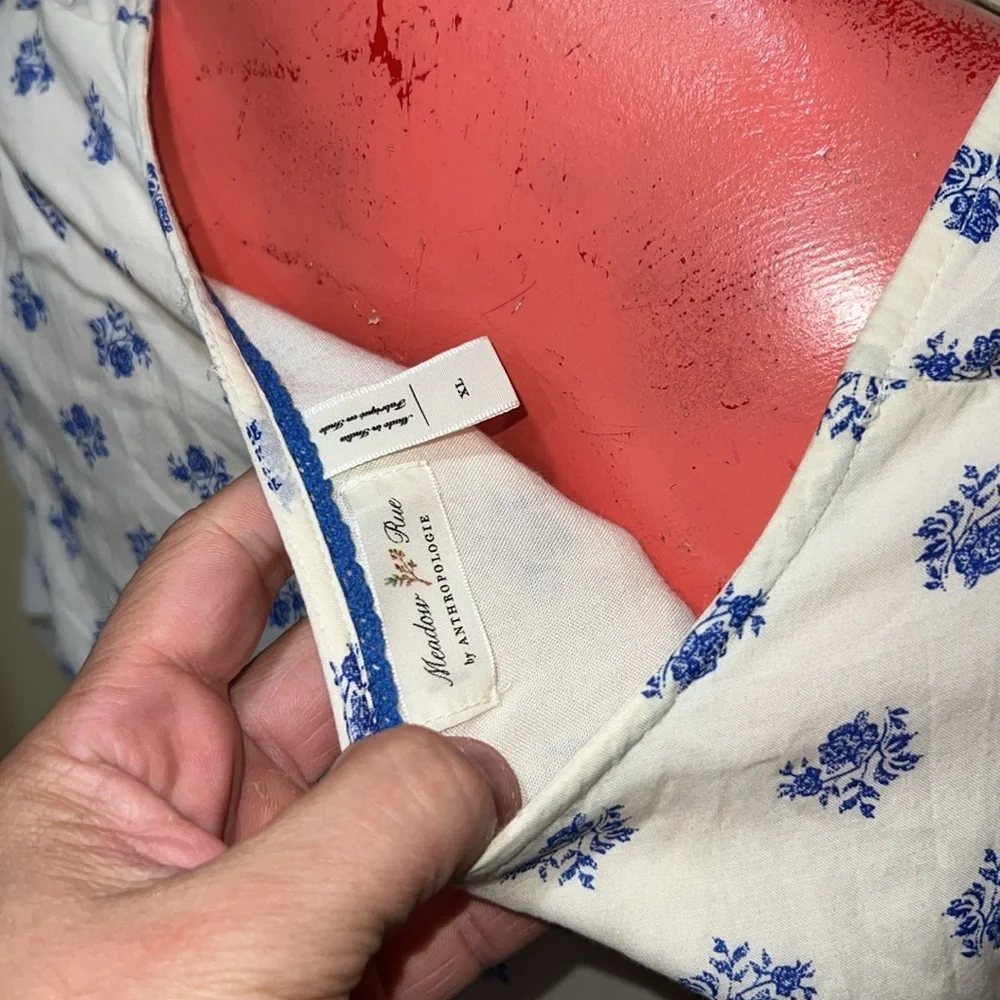 Anthropologie Cream and Blue Floral Dress - Picture 5 of 5